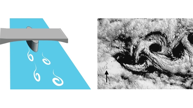 Grphic and satellite photo showing vortex shedding