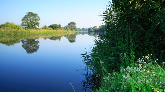 Tutela dell'ambiente