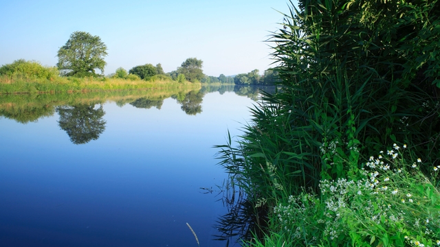 Protezione di ecosistemi e risorse idriche naturali come fiumi e laghi.