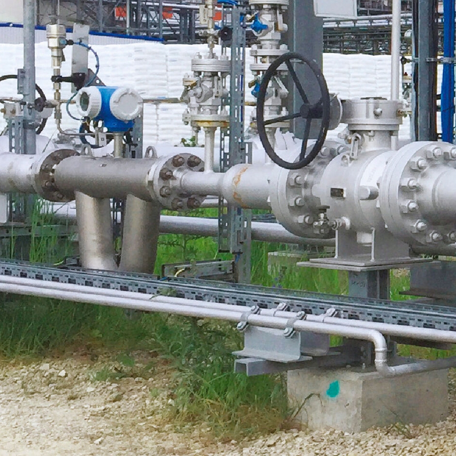 Misuratore di portata Coriolis in un'applicazione di misura fiscale