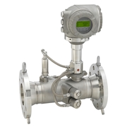 Proline Prosonic Flow G 300 / 9G3B - Specialista del gas estremamente robusto
