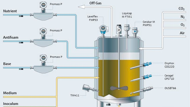 processo di fermentazione