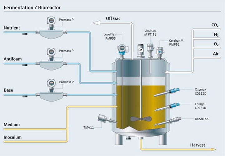 processo di fermentazione