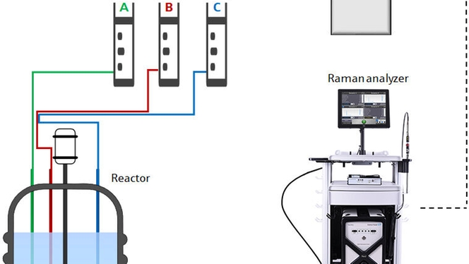 Rappresentazione schematica di un sistema di controllo relativo a un processo di polimerizzazione eseguito in batch semiautomatici