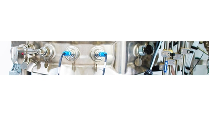 Sonda Raman in un bioreattore di acciaio inossidabile