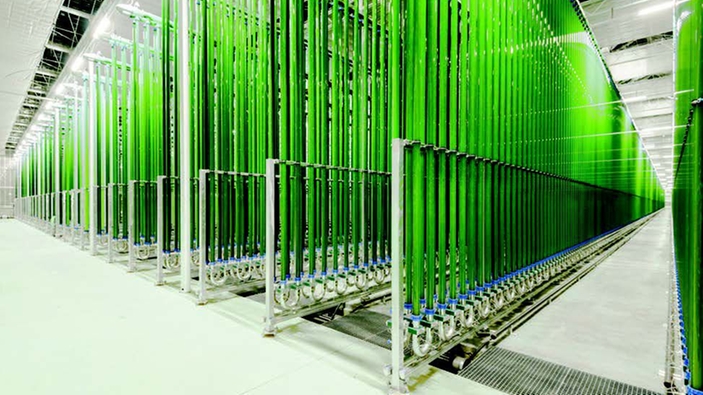 Produzione industriale di alghe in fotobioreattori