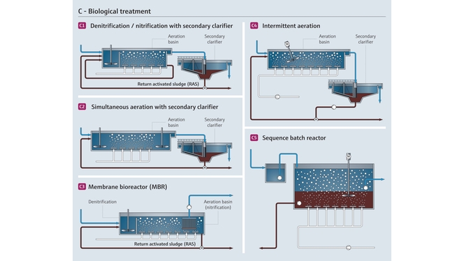 Trattamento biologico delle acque reflue