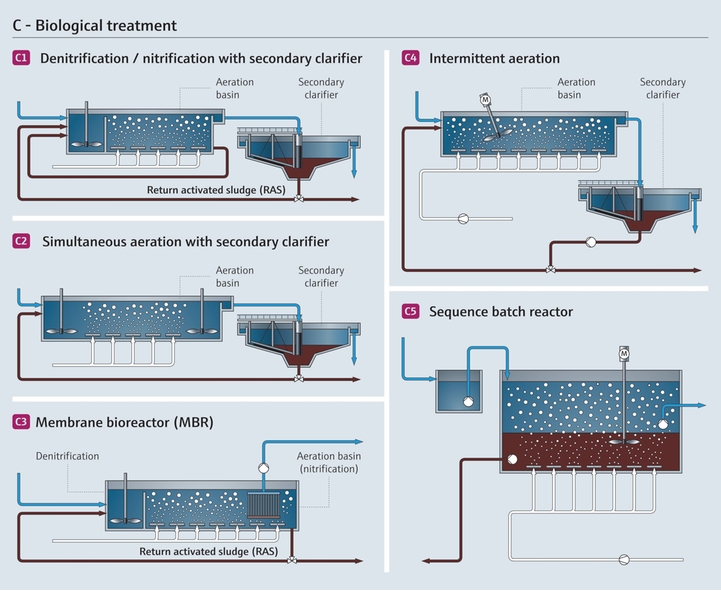 Trattamento biologico delle acque reflue