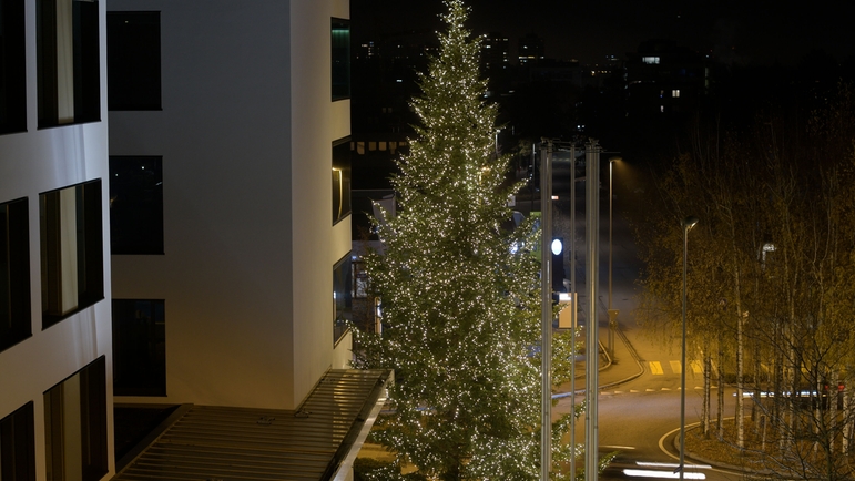 Un albero di Natale risplende in Endress+Hauser a Reinach