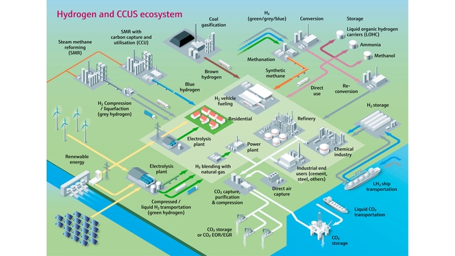 Schema dell'ecosistema dell'idrogeno e CCUS