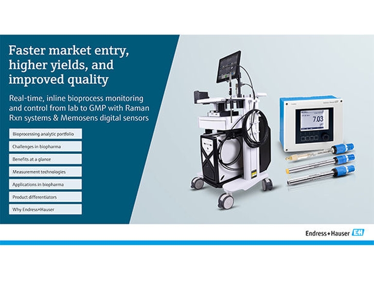 Anteprima dell'eBook sul portfolio di Endress+Hauser di strumenti Raman e per l'analisi dei liquidi dedicati ai bioprocessi Anteprima dell'eBook sul portfolio di Endress+Hauser per la misura in linea nei bioprocessi dell'industria farmaceutica