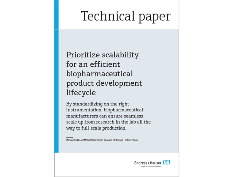 Articolo tecnico, analisi in linea, scalabilità, Raman, Memosens, sensori digitali, anteprima Anteprima dell'articolo tecnico sulla scalabilità nell'industria farmaceutica.